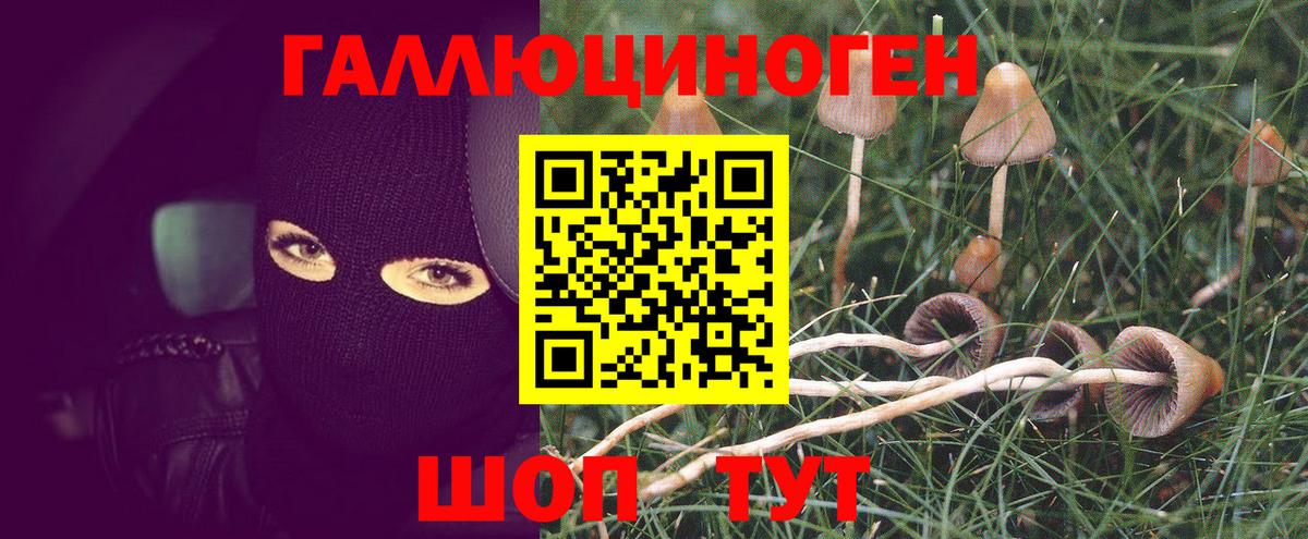 Галлюциногенные грибы MAGIC MUSHROOMS Мелеуз