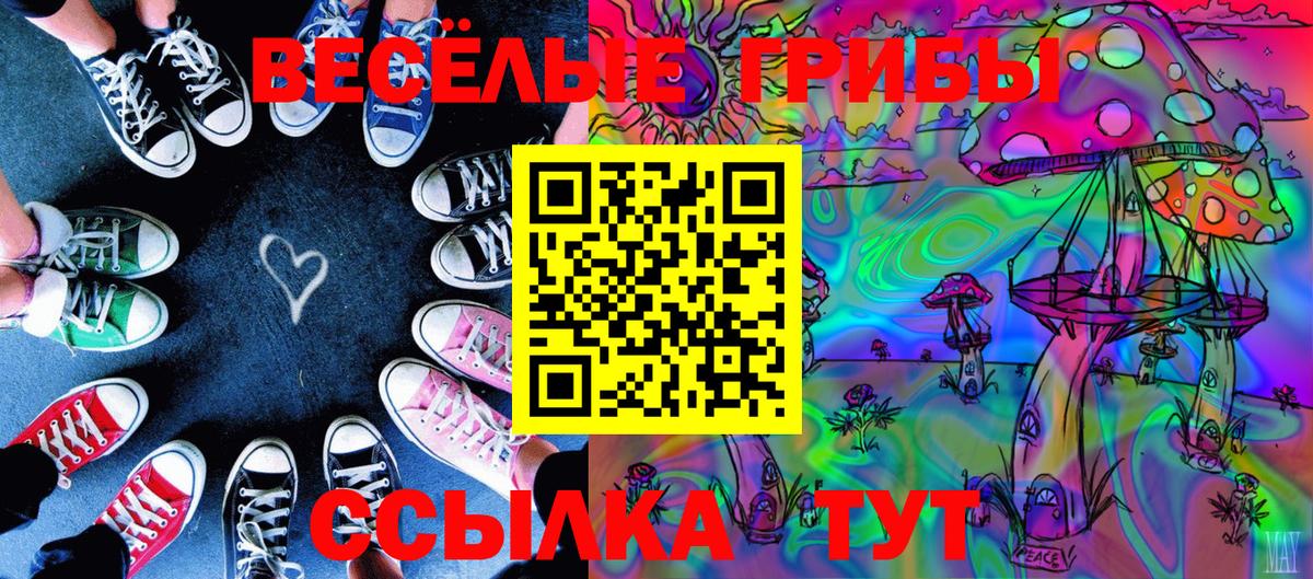 Галлюциногенные грибы MAGIC MUSHROOMS  Вход с VPN  продажа наркотиков  Мелеуз 